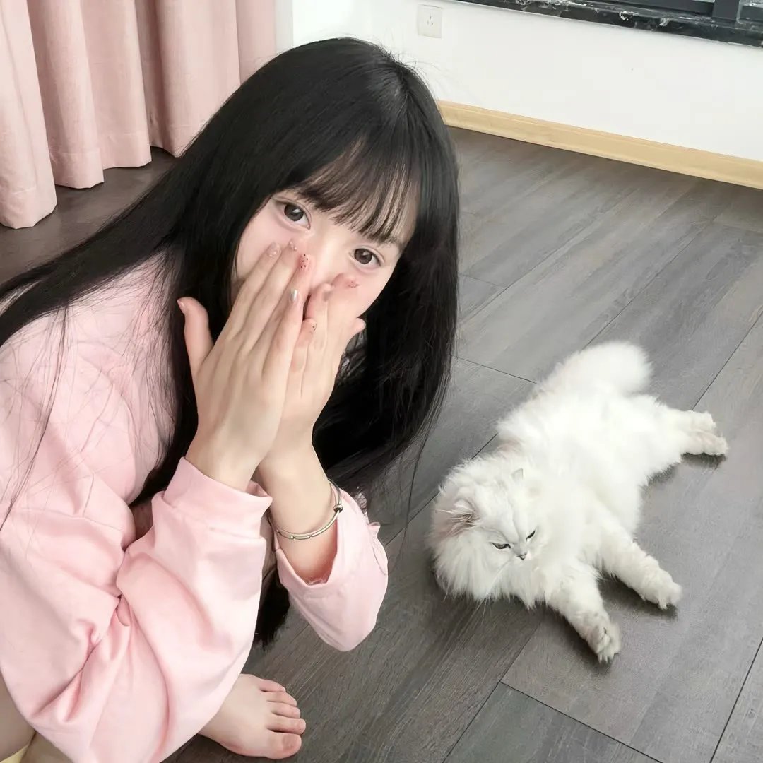 毒姬